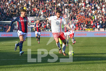 2023-02-12 - Andrera Petagna (AC Monza) in action - BOLOGNA FC VS AC MONZA - ITALIAN SERIE A - SOCCER
