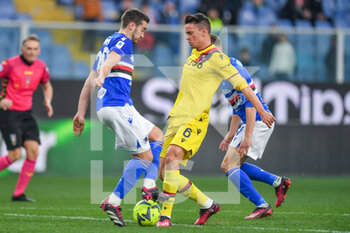 2023-02-18 - Harry Billy Winks (Sampdoria) - Nikola Moro (Bologna) - UC SAMPDORIA VS BOLOGNA FC - ITALIAN SERIE A - SOCCER
