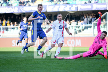 2023-03-12 - Monza's Gianluca Caprari scores a goal deleted - HELLAS VERONA FC VS AC MONZA - ITALIAN SERIE A - SOCCER
