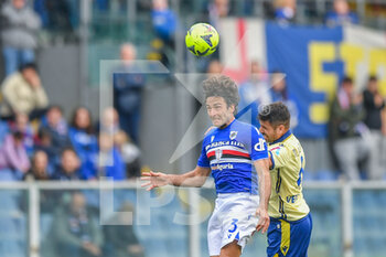 19/03/2023 - Tommaso Augello (Sampdoria) - Miguel Luis Pinto Veloso 
 (Verona) - UC SAMPDORIA VS HELLAS VERONA - SERIE A - CALCIO