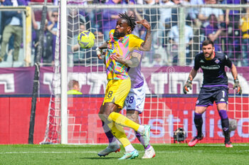 2023-04-08 - Spezia's M'Bala Nzola thwarted by Fiorentina's Igor - ACF FIORENTINA VS SPEZIA CALCIO - ITALIAN SERIE A - SOCCER