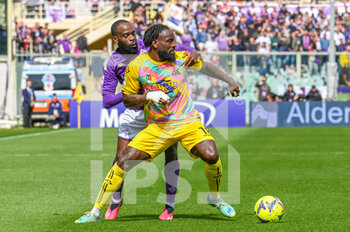 2023-04-08 - Spezia's M'Bala Nzola hampered by Fiorentina's Jonathan Ikonè - ACF FIORENTINA VS SPEZIA CALCIO - ITALIAN SERIE A - SOCCER