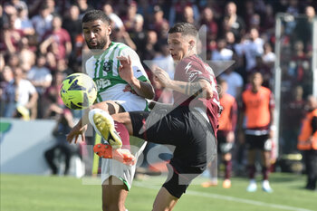 2023-04-22 - Domagoj Bradaric of US Salernitana  competes for the ball with Gregoire Defrel of  US Sassuolo Calcio during the Serie A match between 
US Salernitana 1919 vs US Sassuolo Calcio  at Arechi  Stadium  - US SALERNITANA VS US SASSUOLO - ITALIAN SERIE A - SOCCER