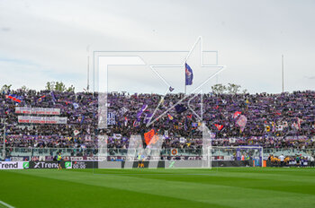 2023-04-30 - Fiorentina supporters - ACF FIORENTINA VS UC SAMPDORIA - ITALIAN SERIE A - SOCCER