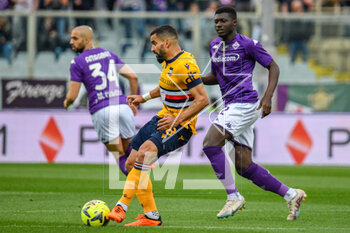 2023-04-30 - Sampdoria's Tomas Rincon hampered by Fiorentina's Alfred Duncan - ACF FIORENTINA VS UC SAMPDORIA - ITALIAN SERIE A - SOCCER