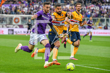 2023-04-30 - Fiorentina's Gaetano Castrovilli hampered by Sampdoria's Tomas Rincon - ACF FIORENTINA VS UC SAMPDORIA - ITALIAN SERIE A - SOCCER