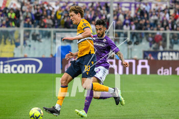 2023-04-30 - Sampdoria's Sam Lammers hampered by Fiorentina's Nicolas Gonzalez - ACF FIORENTINA VS UC SAMPDORIA - ITALIAN SERIE A - SOCCER