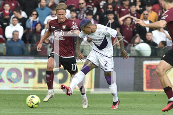 2023-05-03 - Erik Botheim of US Salernitana competes for the ball with Domilson Corderio Dodo of ACF Fiorentina during the Serie A match between US Salernitana 1919 ACF Fiorentina at Arechi Stadium - US SALERNITANA VS ACF FIORENTINA - ITALIAN SERIE A - SOCCER