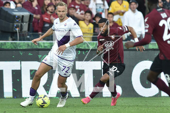 2023-05-03 - Antonin Barak of ACF Fiorentina competes for the ball with Gaetano Castrovilli of ACF Fiorentina during the Serie A match between US Salernitana 1919 ACF Fiorentina at Arechi Stadium - US SALERNITANA VS ACF FIORENTINA - ITALIAN SERIE A - SOCCER