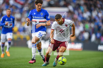 2023-05-03 - Alessandro Zanoli (Sampdoria) - Nikola Vlasic (Torino) - UC SAMPDORIA VS TORINO FC - ITALIAN SERIE A - SOCCER