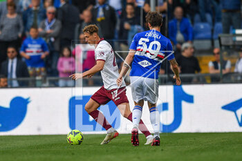 2023-05-03 - Mergim Vojvoda (Torino) - Alessandro Zanoli (Sampdoria) - UC SAMPDORIA VS TORINO FC - ITALIAN SERIE A - SOCCER