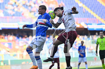 2023-05-03 - Mickael Cuisance (Sampdoria) - Ricardo Ivan Sola Rodriguez (Torino) - UC SAMPDORIA VS TORINO FC - ITALIAN SERIE A - SOCCER
