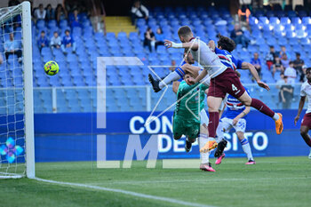 2023-05-03 - Alessandro Buongiorno (Torino) goal 0 -1 - UC SAMPDORIA VS TORINO FC - ITALIAN SERIE A - SOCCER