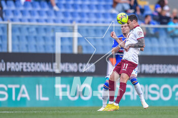2023-05-03 - Bram Johan Andre Nuytinck Sa - Pietro Pellegri (Torino) - UC SAMPDORIA VS TORINO FC - ITALIAN SERIE A - SOCCER