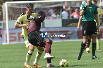 2023-05-27 - Lassana Coulibaly of US Salernitana competes for the ball with Lazar Samardzic of Udinese Calcio during the Serie A match between US Salernitana 1919 vs Udinese Calcio at Arechi Stadium - US SALERNITANA VS UDINESE CALCIO - ITALIAN SERIE A - SOCCER