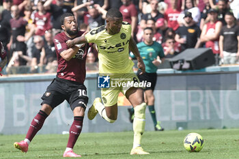 2023-05-27 - Tonny Vilhena of US Salernitana competes for the ball with Marvin Zeegelar of Udinese Calcio during the Serie A match between US Salernitana 1919 vs Udinese Calcio at Arechi Stadium - US SALERNITANA VS UDINESE CALCIO - ITALIAN SERIE A - SOCCER