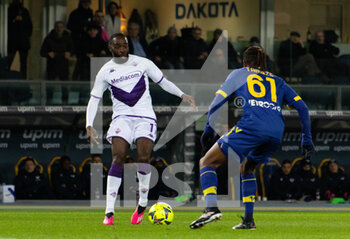 2023-02-27 - Jonathan Ikone(Fiorentina) and Adrien Tameze(Hellas Verona) - HELLAS VERONA FC VS ACF FIORENTINA - ITALIAN SERIE A - SOCCER