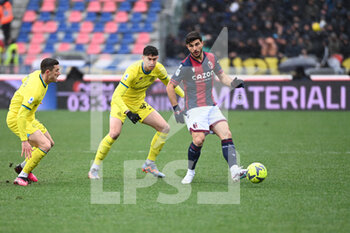 2023-02-26 - Andrea Orsolini (Bologna) in action - BOLOGNA FC VS INTER - FC INTERNAZIONALE - ITALIAN SERIE A - SOCCER