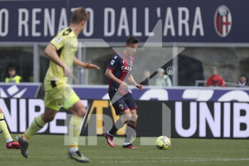 2023-04-02 - Nikola Moro (Bologna) in action - BOLOGNA FC VS UDINESE CALCIO - ITALIAN SERIE A - SOCCER