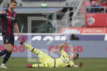 2023-04-02 - Ilija Nestorovski (Udinese) falls down in the area - BOLOGNA FC VS UDINESE CALCIO - ITALIAN SERIE A - SOCCER