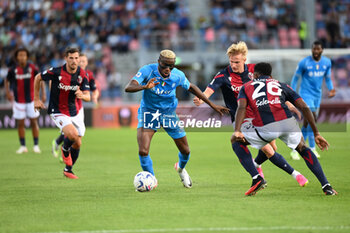 Bologna FC vs SSC Napoli - ITALIAN SERIE A - SOCCER