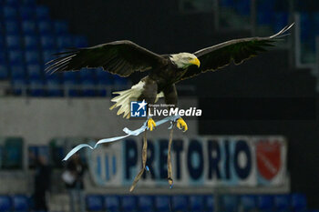 2023-09-23 - Eagle Olimpia during the Italian Football Championship League A 2023/2024 match between SS Lazio vs AC Monza at the Olimpic Stadium in Rome on 24 September 2023. - SS LAZIO VS AC MONZA - ITALIAN SERIE A - SOCCER