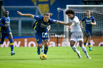 2023-10-21 - Verona's Kevin Lasagna in action against Napoli's Jens Cajuste - HELLAS VERONA FC VS SSC NAPOLI - ITALIAN SERIE A - SOCCER