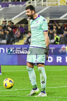 2023-11-12 - Fiorentina's Pietro Terracciano - ACF FIORENTINA VS BOLOGNA FC - ITALIAN SERIE A - SOCCER