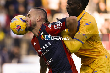 2023-11-26 - George Puscas of Genoa C.F.C. during the 13th day of the Serie A Championship between Frosinone Calcio vs Genoa C.F.C., 26 November 2023 at the Benito Stirpe Stadium, Frosinone, Italy. - FROSINONE CALCIO VS GENOA CFC - ITALIAN SERIE A - SOCCER