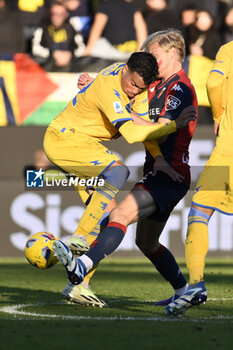 2023-11-26 - Reinier of Frosinone Calcio and Morten Thorsby of Genoa C.F.C.during the 13th day of the Serie A Championship between Frosinone Calcio vs Genoa C.F.C., 26 November 2023 at the Benito Stirpe Stadium, Frosinone, Italy. - FROSINONE CALCIO VS GENOA CFC - ITALIAN SERIE A - SOCCER