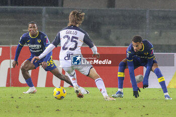 2023-11-27 - Antonino Gallo of US Lecce. battle for the ball with Jackosn Tchatchousa of Hellas Verona FC and Cyril Ngonge of Hellas Verona FC during Hellas Verona FC  vs US Lecce, 13° Serie A Tim 2023-24 game at Marcantonio Bentegodi Stadium in Verona (VR), Italy, on November 27, 2023. - HELLAS VERONA FC VS US LECCE - ITALIAN SERIE A - SOCCER