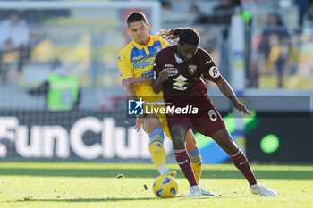 2023-12-10 - Frosinone's Croatian midfielder Karlo Lulic challenges for the ball with Torino's French midfielder Adrien Tameze during the Serie A football match between Frosinone Calcio vs Torino at the Benito Stirpe stadium in Frosinone, Italy on December 10, 2023. - FROSINONE CALCIO VS TORINO FC - ITALIAN SERIE A - SOCCER