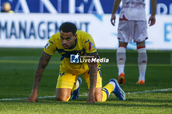 2023-12-17 - Cyril Ngonge of Hellas Verona FC expresses disappointment during ACF Fiorentina vs Hellas Verona FC, 16° Serie A Tim 2023-24 game at Artemio Franchi Stadium in Firenze (FI), Italy, on Dicember 17, 2023. - ACF FIORENTINA VS HELLAS VERONA FC - ITALIAN SERIE A - SOCCER