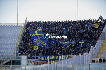 2023-12-17 - fans show their support during ACF Fiorentina vs Hellas Verona FC, 16° Serie A Tim 2023-24 game at Artemio Franchi Stadium in Firenze (FI), Italy, on Dicember 17, 2023. - ACF FIORENTINA VS HELLAS VERONA FC - ITALIAN SERIE A - SOCCER