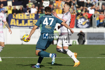 2023-12-23 - Juventus' Polish forward Arkadiusz Milik challenges for the ball with Frosinone's Brazilian goalkeeper Mateus Lusuardi during the Serie A football match between Frosinone Calcio vs Juventus FC at the Benito Stirpe stadium in Frosinone, Italy on December 23, 2023. - FROSINONE CALCIO VS JUVENTUS FC - ITALIAN SERIE A - SOCCER