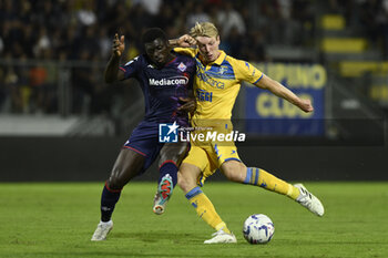 2023-09-28 - Alfred Duncan of A.C.F. Fiorentina and Marco Brescianini of Frosinone Calcio during the 6th day of the Serie A Championship between Frosinone Calcio vs A.C.F. Fiorentina, 28 September 2023 at the Benito Stirpe Stadium, Frosinone, Italy. - FROSINONE CALCIO VS ACF FIORENTINA - ITALIAN SERIE A - SOCCER