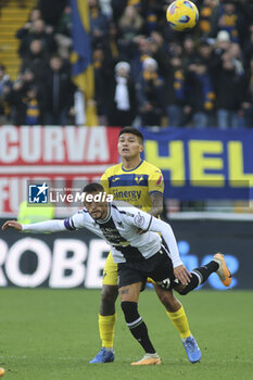 2023-12-03 - Bruno Amione of Hellas Verona FC competes for the ball with Roberto Maximiliano Pereyra of Udinese FC during Udinese Calcio vs Hellas Verona FC, 14° Serie A Tim 2023-24 game at Bluenergy Stadium - Stadio Friuli in Udine (UD), Italy, on Dicember 03, 2023. - UDINESE CALCIO VS HELLAS VERONA FC - ITALIAN SERIE A - SOCCER