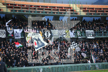 2023-01-15 - Fans of Ascoli - TERNANA CALCIO VS ASCOLI CALCIO - ITALIAN SERIE B - SOCCER