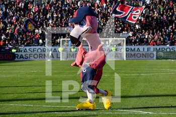 2023-02-11 - Pully Mascotte of Cagliari Calcio - CAGLIARI CALCIO VS BENEVENTO CALCIO - ITALIAN SERIE B - SOCCER