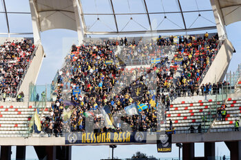 2023-03-11 - Frosinone Calcio Supporters - SSC BARI VS FROSINONE CALCIO - ITALIAN SERIE B - SOCCER