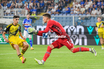 2023-08-25 - Filip Stankovic (Sampdoria) saves a goal - UC SAMPDORIA VS AC PISA - ITALIAN SERIE B - SOCCER