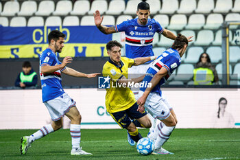 2023-11-11 - Edoardo Duca (Modena) - MODENA FC VS UC SAMPDORIA - ITALIAN SERIE B - SOCCER