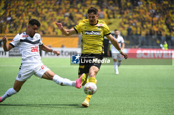 CUP Final: BSC Young Boys - FC Lugano - SWISS CUP - SOCCER