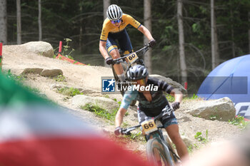 2023-07-02 - Sophie Von Berswordt (NED) in action during XCO Elite Women race, at UCI MTB World Series 2023, Val di Sole stage on July 02, 2023 in Val di Sole, Trento, Italy. - UCI MTB WORLD CUP - XCO ELITE WOMEN RACE - MTB - MOUNTAIN BIKE - CYCLING