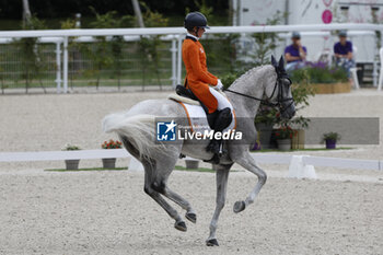 2023-08-11 - Sanne DE JONG (NED) ENJOY competes during the Dressage event during the FEI Eventing European Championship 2023, Equestrian CH-EU-CCI4-L event on August 11 th, 2023 at Haras du Pin in Le Pin-au-Haras, France - EQUESTRIAN - FEI EVENTING EUROPEAN CHAMPIONSHIP 2023 - INTERNATIONALS - EQUESTRIAN