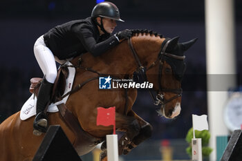 12/11/2023 - Antonia Platt (GBR) riding Marvin van de Waterhoeve in action during the CSI5* - W Longines FEI World Cup Competition presented by Scuderia 1918 - Verona Jumping at 125th edition of Fieracavalli on November 12, 2023, Verona, Italy. - CSI5* - W LONGINES FEI WORLD CUP COMPETITION - VERONA JUMPING - INTERNAZIONALI - EQUITAZIONE