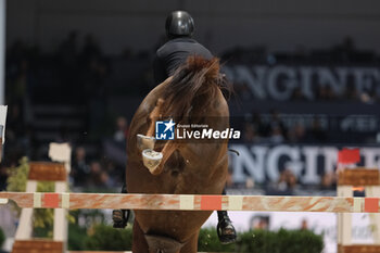 12/11/2023 - Johan Sebastien Gulliksen (NOR) riding Harwich VDL in action during the CSI5* - W Longines FEI World Cup Competition presented by Scuderia 1918 - Verona Jumping at 125th edition of Fieracavalli on November 12, 2023, Verona, Italy. - CSI5* - W LONGINES FEI WORLD CUP COMPETITION - VERONA JUMPING - INTERNAZIONALI - EQUITAZIONE