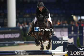 11/11/2023 - Angelica Canonici (ITA) riding Vertigo Z in action during the CSI5* - International Competition N°5 presented by Crivelli - Verona Jumping at 125th Fieracavalli on November 11, 2023, Verona, Italy. - CSI5* - INTERNATIONAL COMPETITION N°5 - VERONA JUMPING - INTERNAZIONALI - EQUITAZIONE