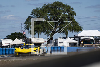 16/03/2023 - 01 BOURDAIS Sébastien (fra), VAN DER ZANDE Renger (ned), DIXON Scott (nal), Cadillac Racing, Cadillac V-Series.R, action during the Mobil 1 Twelve Hours of Sebring 2023, 2nd round of the 2023 IMSA SportsCar Championship, from March 15 to 18, 2023 on the Sebring International Raceway in Sebring, Florida, USA - AUTO - IMSA - 12 HOURS OF SEBRING 2023 - ENDURANCE - MOTORI