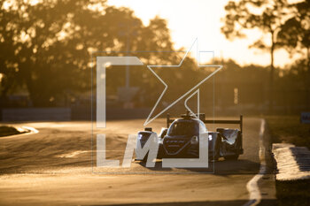 2023-03-16 - during the 1000 Miles of Sebring 2023, 1st round of the 2023 FIA World Endurance Championship, from March 15 to 17, 2023 on the Sebring International Raceway in Sebring, Florida, USA - AUTO - FIA WEC - 1000 MILES OF SEBRING 2023 - ENDURANCE - MOTORS